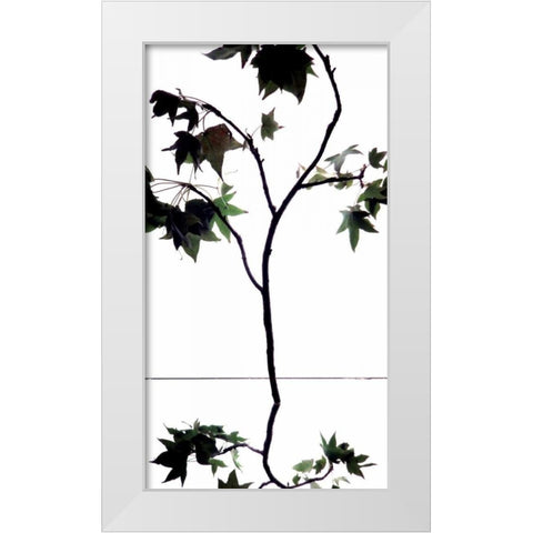 Maple Branch V White Modern Wood Framed Art Print by Burkhart, Monika