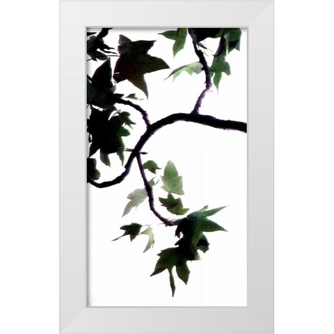 Maple Branch VI White Modern Wood Framed Art Print by Burkhart, Monika