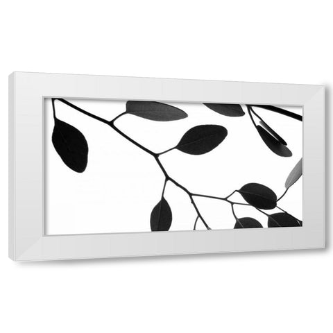 Lunaria Honesty III White Modern Wood Framed Art Print by Burkhart, Monika