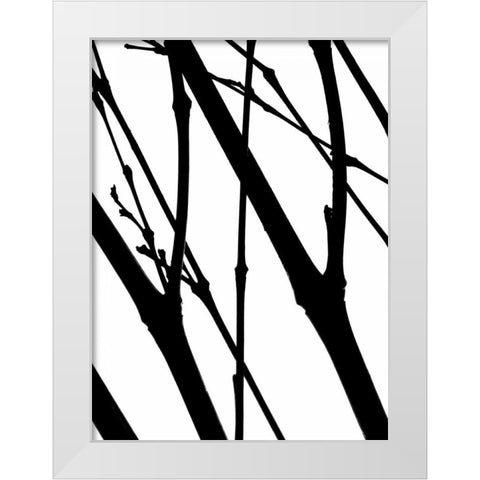 Branch Silhouette I White Modern Wood Framed Art Print by Burkhart, Monika
