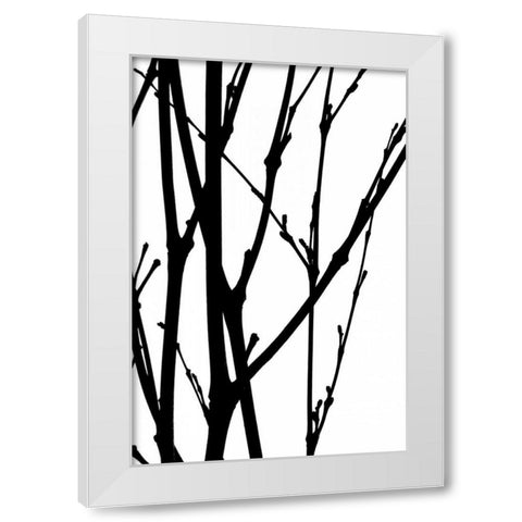 Branch Silhouette III White Modern Wood Framed Art Print by Burkhart, Monika