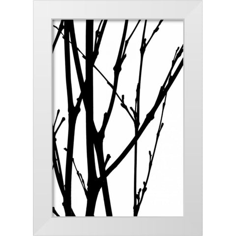 Branch Silhouette III White Modern Wood Framed Art Print by Burkhart, Monika