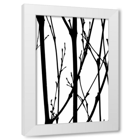 Branch Silhouette IV White Modern Wood Framed Art Print by Burkhart, Monika