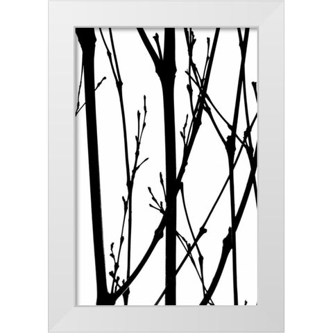 Branch Silhouette IV White Modern Wood Framed Art Print by Burkhart, Monika
