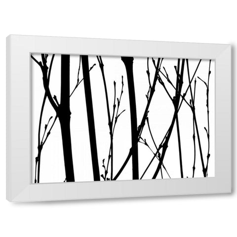 Branch Silhouette V White Modern Wood Framed Art Print by Burkhart, Monika
