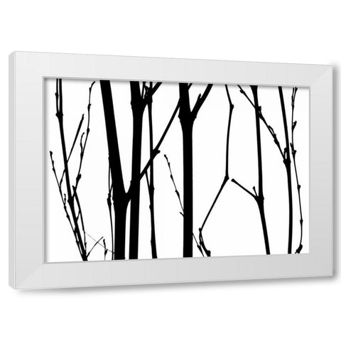 Branch Silhouette VI White Modern Wood Framed Art Print by Burkhart, Monika