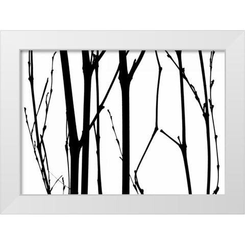 Branch Silhouette VI White Modern Wood Framed Art Print by Burkhart, Monika