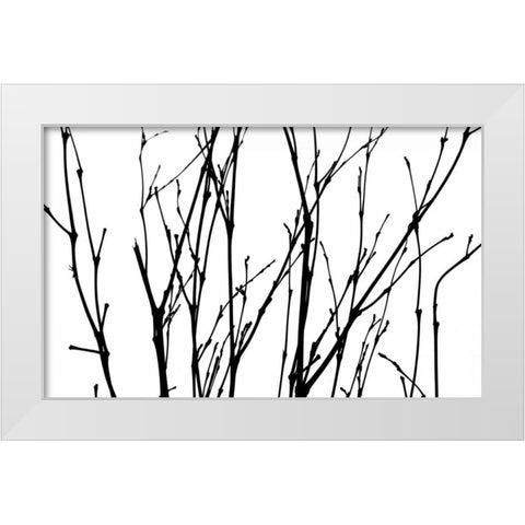 Dancing Branches II White Modern Wood Framed Art Print by Burkhart, Monika