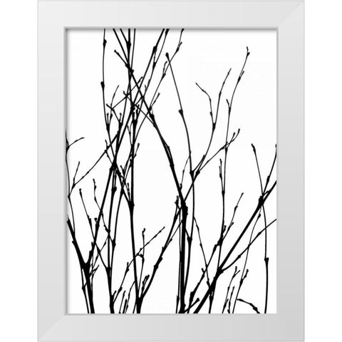 Dancing Branches III White Modern Wood Framed Art Print by Burkhart, Monika
