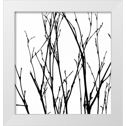 Dancing Branches V White Modern Wood Framed Art Print by Burkhart, Monika