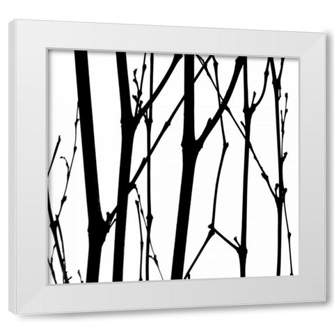 Dancing Branches VI White Modern Wood Framed Art Print by Burkhart, Monika