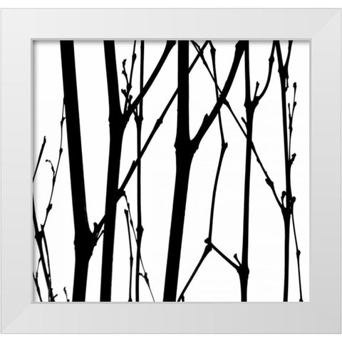 Dancing Branches VI White Modern Wood Framed Art Print by Burkhart, Monika