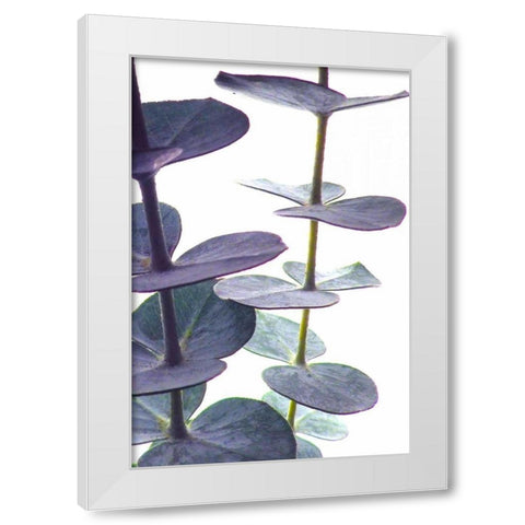 Eucalyptus I White Modern Wood Framed Art Print by Burkhart, Monika