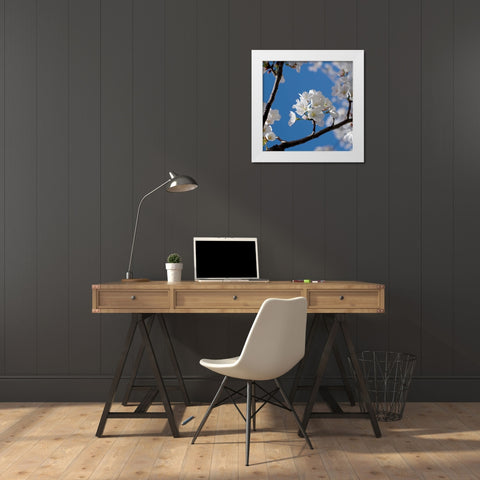 Apple Blossoms I White Modern Wood Framed Art Print by Burkhart, Monika