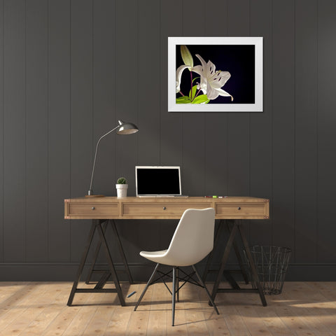 White Lilies I White Modern Wood Framed Art Print by Burkhart, Monika