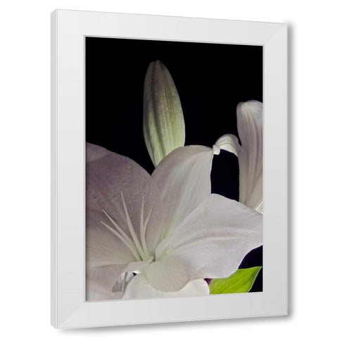 White Lilies IV White Modern Wood Framed Art Print by Burkhart, Monika