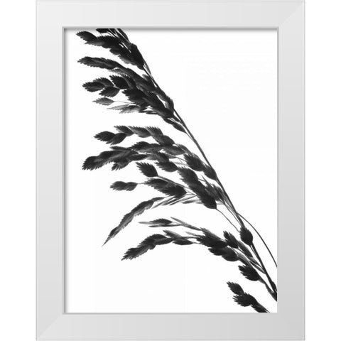 Soliloquy I White Modern Wood Framed Art Print by Burkhart, Monika