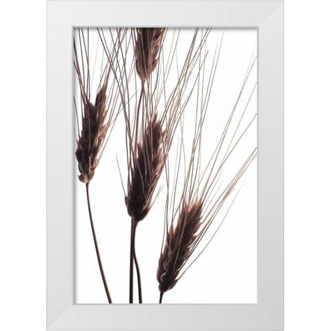 Wheat II White Modern Wood Framed Art Print by Burkhart, Monika