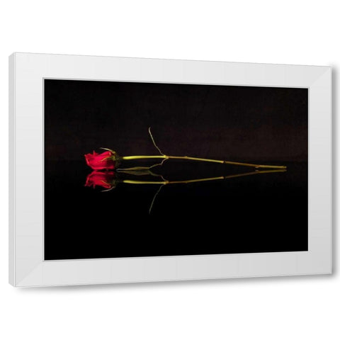 Evening Romace II White Modern Wood Framed Art Print by Burkhart, Monika