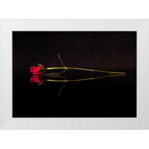 Evening Romace II White Modern Wood Framed Art Print by Burkhart, Monika