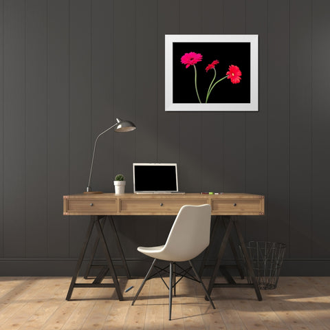 Crazy Daisies II White Modern Wood Framed Art Print by Burkhart, Monika