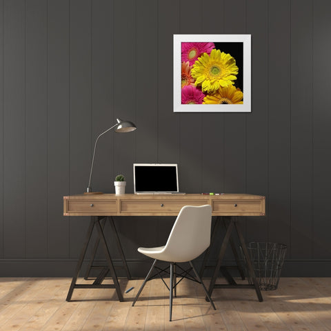 Spring Potpourri II White Modern Wood Framed Art Print by Burkhart, Monika