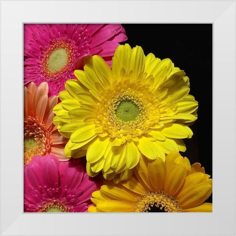 Spring Potpourri II White Modern Wood Framed Art Print by Burkhart, Monika