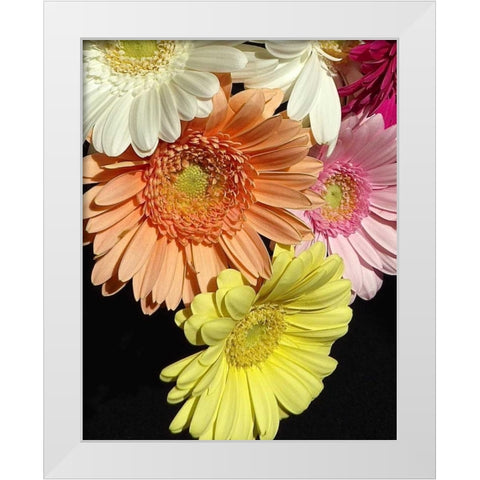 Spring Potpourri III White Modern Wood Framed Art Print by Burkhart, Monika