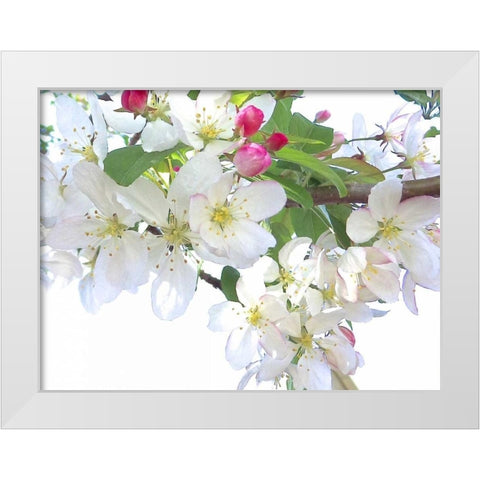 Spring Delight I White Modern Wood Framed Art Print by Burkhart, Monika