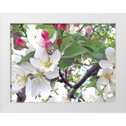 Spring Delight II White Modern Wood Framed Art Print by Burkhart, Monika