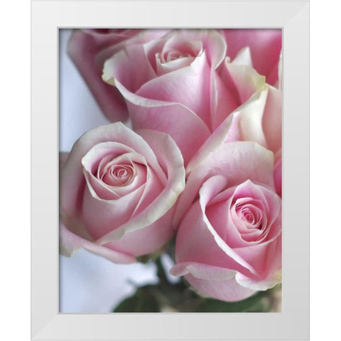 Perfectly Pink I White Modern Wood Framed Art Print by Burkhart, Monika
