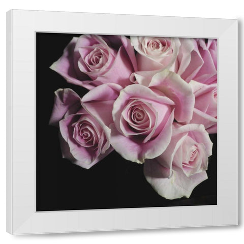 Moonlight and Roses I White Modern Wood Framed Art Print by Burkhart, Monika