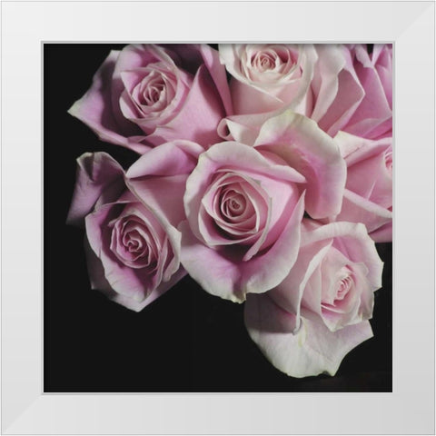 Moonlight and Roses I White Modern Wood Framed Art Print by Burkhart, Monika