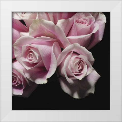 Moonlight and Roses II White Modern Wood Framed Art Print by Burkhart, Monika