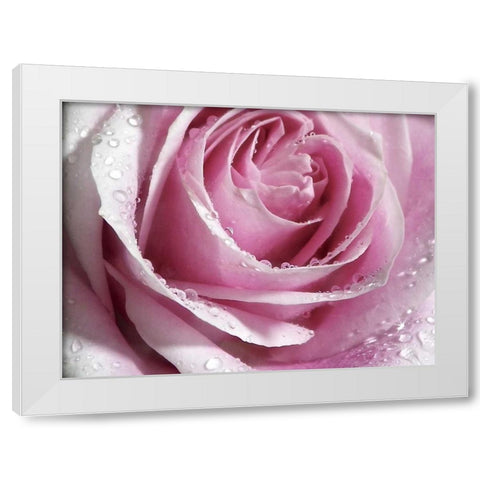 Raindrops and Roses I White Modern Wood Framed Art Print by Burkhart, Monika