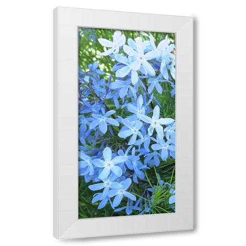 Variations in Blue I White Modern Wood Framed Art Print by Burkhart, Monika