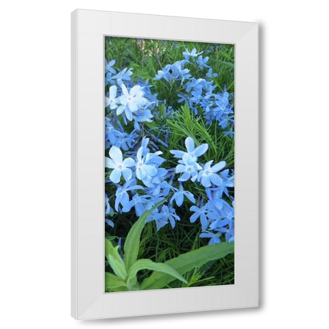 Variations in Blue II White Modern Wood Framed Art Print by Burkhart, Monika
