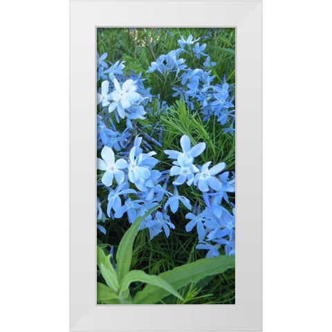 Variations in Blue II White Modern Wood Framed Art Print by Burkhart, Monika