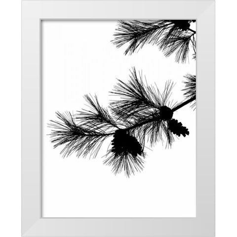 Pine Soliloquy I White Modern Wood Framed Art Print by Burkhart, Monika