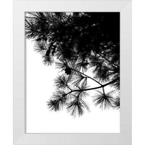 Pine Soliloquy II White Modern Wood Framed Art Print by Burkhart, Monika