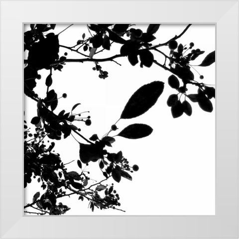 Last of Summer I White Modern Wood Framed Art Print by Burkhart, Monika