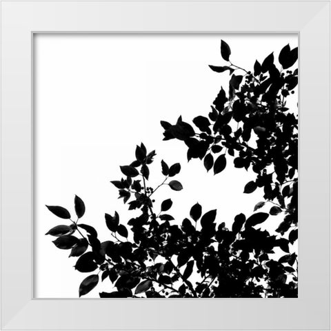 Last of Summer II White Modern Wood Framed Art Print by Burkhart, Monika