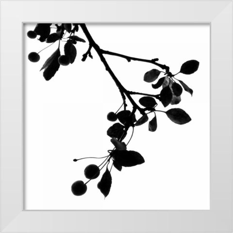 Last of Summer III White Modern Wood Framed Art Print by Burkhart, Monika