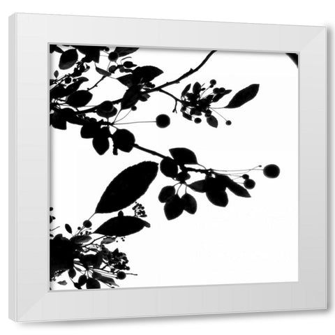 Last of Summer IV White Modern Wood Framed Art Print by Burkhart, Monika