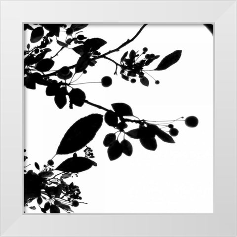 Last of Summer IV White Modern Wood Framed Art Print by Burkhart, Monika