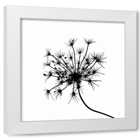 Silhouette daâ‚¬â„¢esprit I White Modern Wood Framed Art Print by Burkhart, Monika