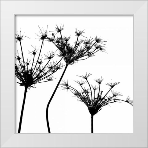 Silhouette daâ‚¬â„¢esprit III White Modern Wood Framed Art Print by Burkhart, Monika