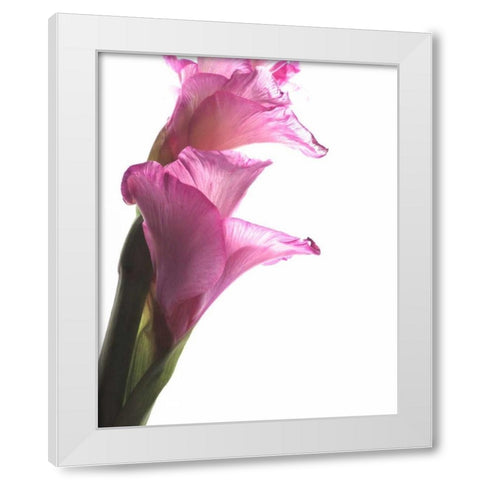 Beauty in the Bloom I White Modern Wood Framed Art Print by Burkhart, Monika