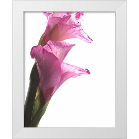 Beauty in the Bloom I White Modern Wood Framed Art Print by Burkhart, Monika