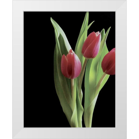 Blush of Spring II White Modern Wood Framed Art Print by Burkhart, Monika